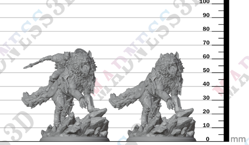 Skjolnir & Haarn - The Wolf Knight