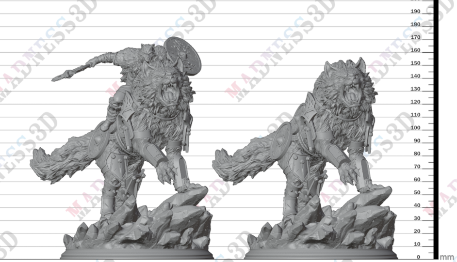 Skjolnir & Haarn - The Wolf Knight