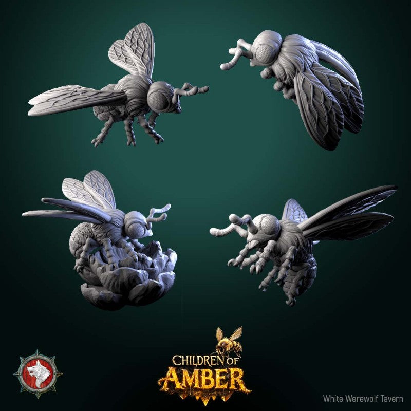 Insects