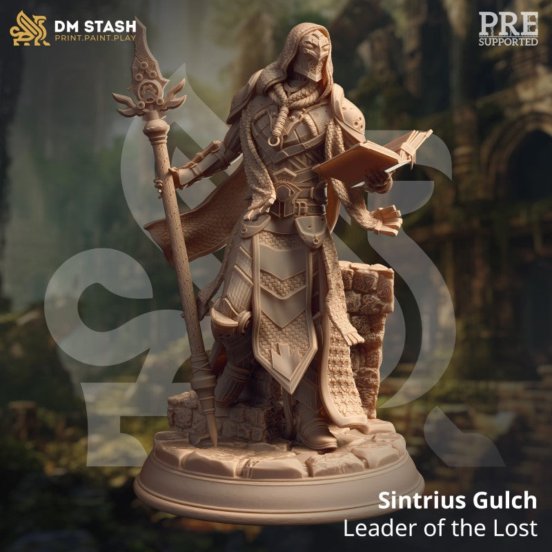 miniature Sintrius Gulch - Leader of the Lost by DM Stash