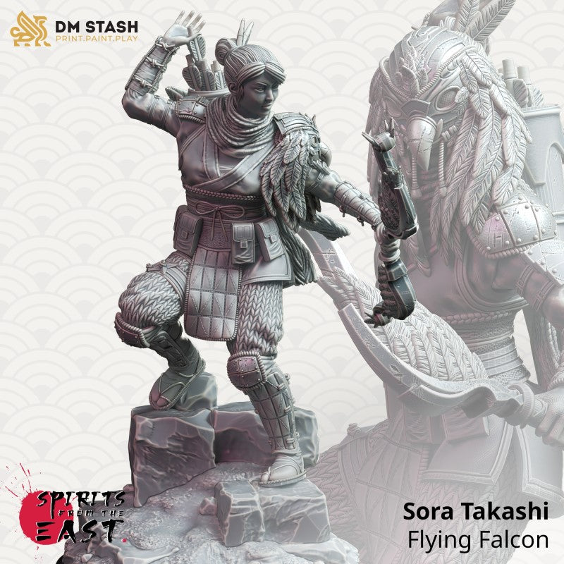 Sora Takashi - Flying Falcon by DM Stash