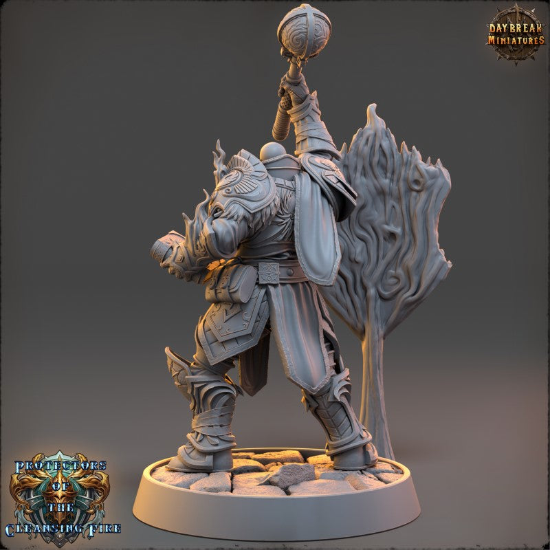 Stormlord Nicko Cinderwhisper