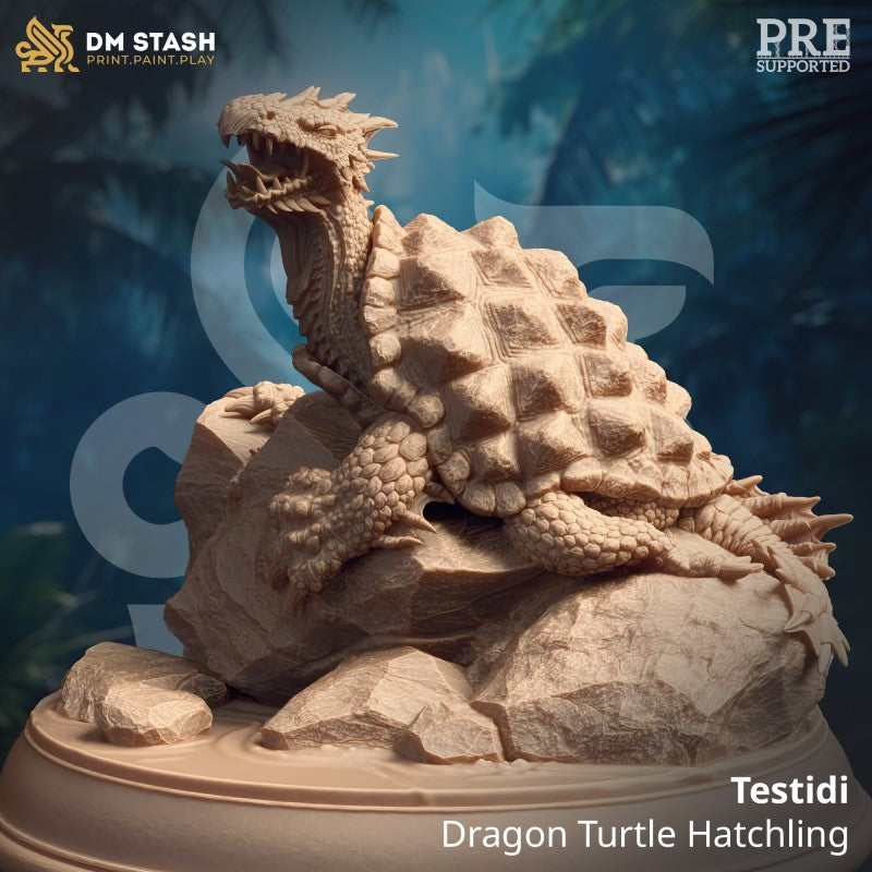Testidi - Dragon Turtle Hatchling