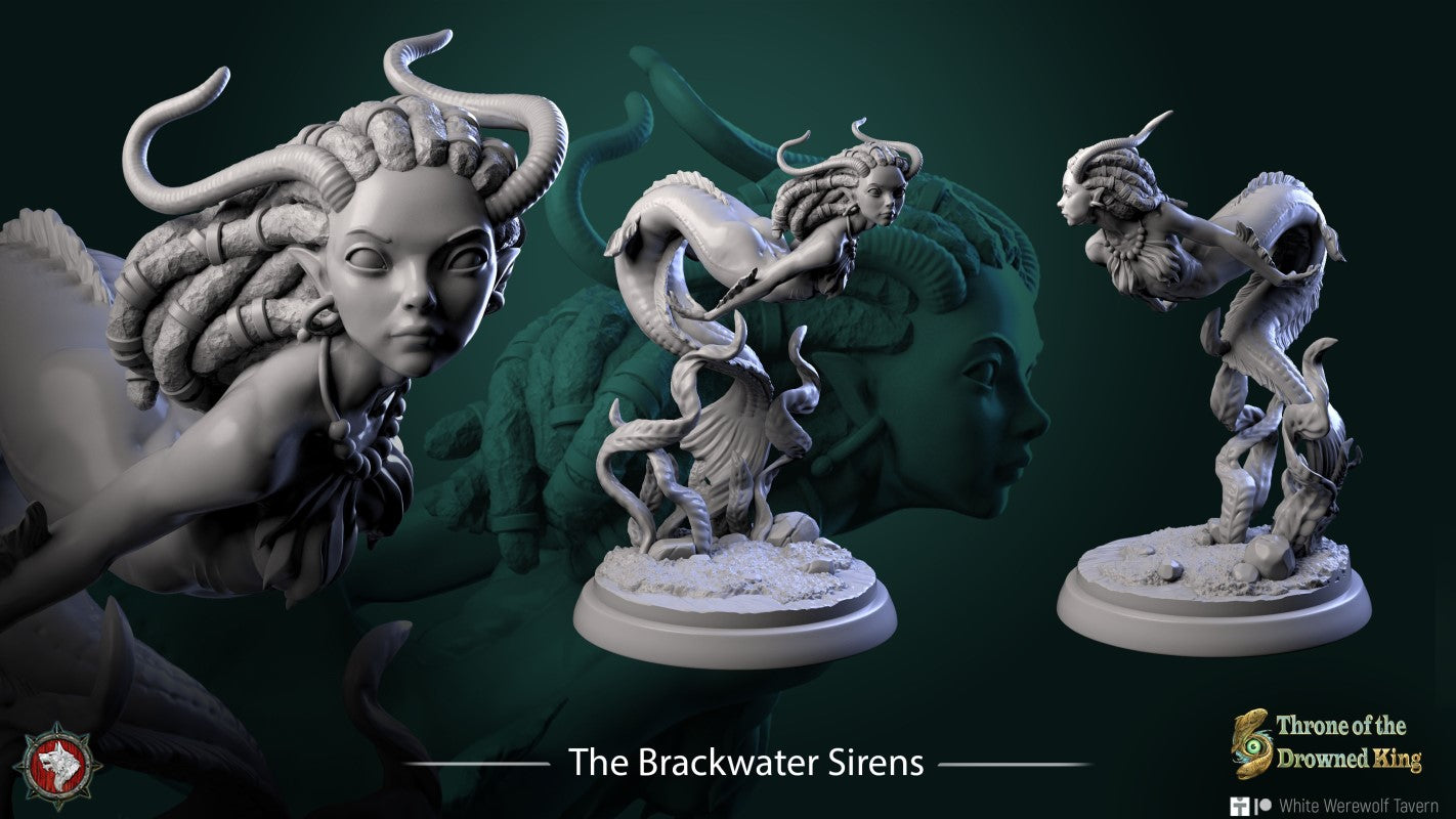 The Brackwater Siren