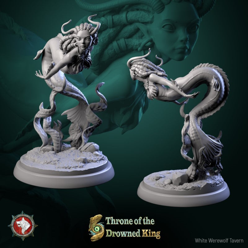 The Brackwater Siren