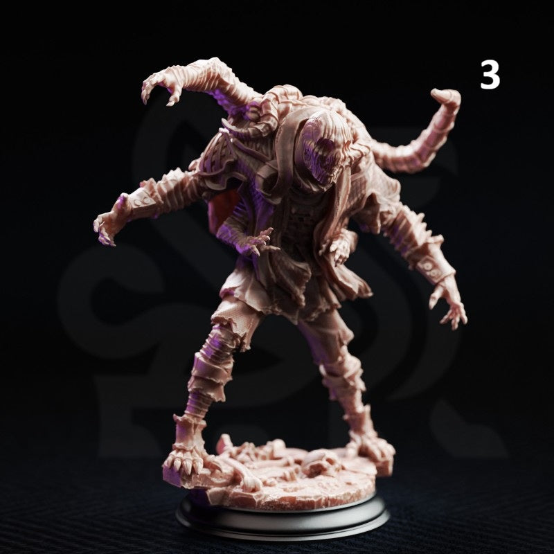The Progressed - Dragonblight Stricken Students