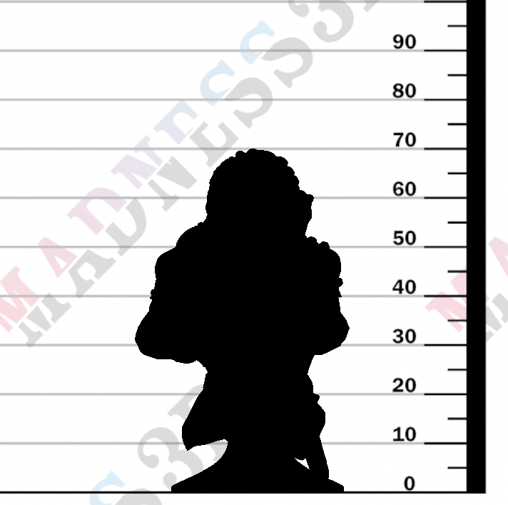 Vanguard Fighters - Bust Female