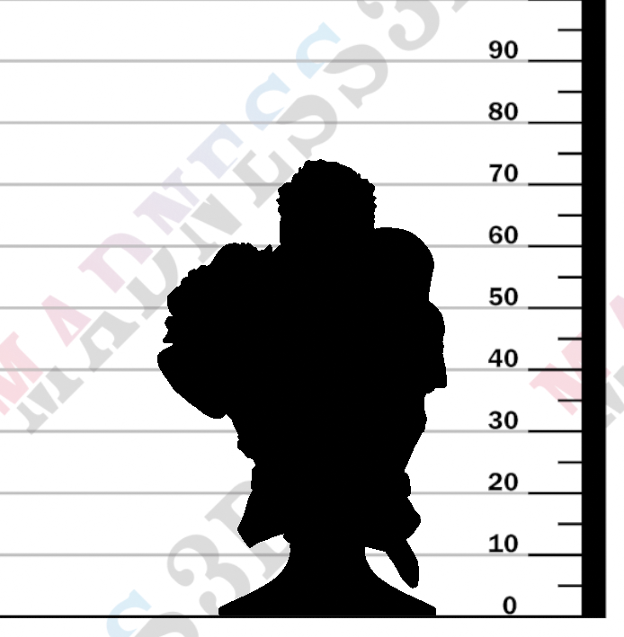 Vanguard Fighters - Bust Male