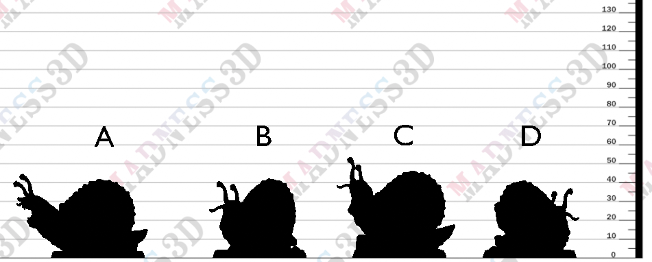 Turtlekin Snail - Wild