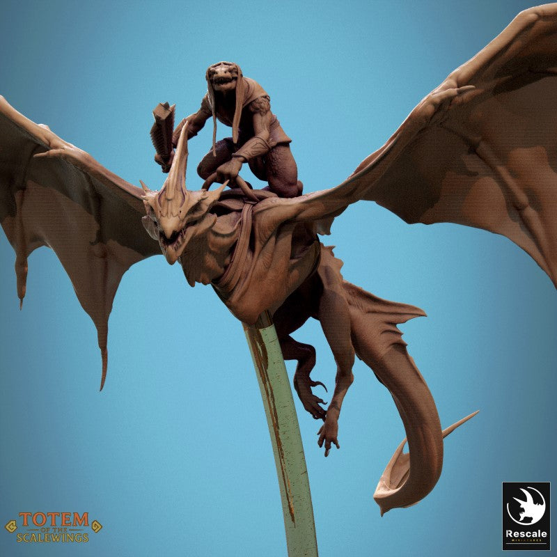 Zicoalt - Soar