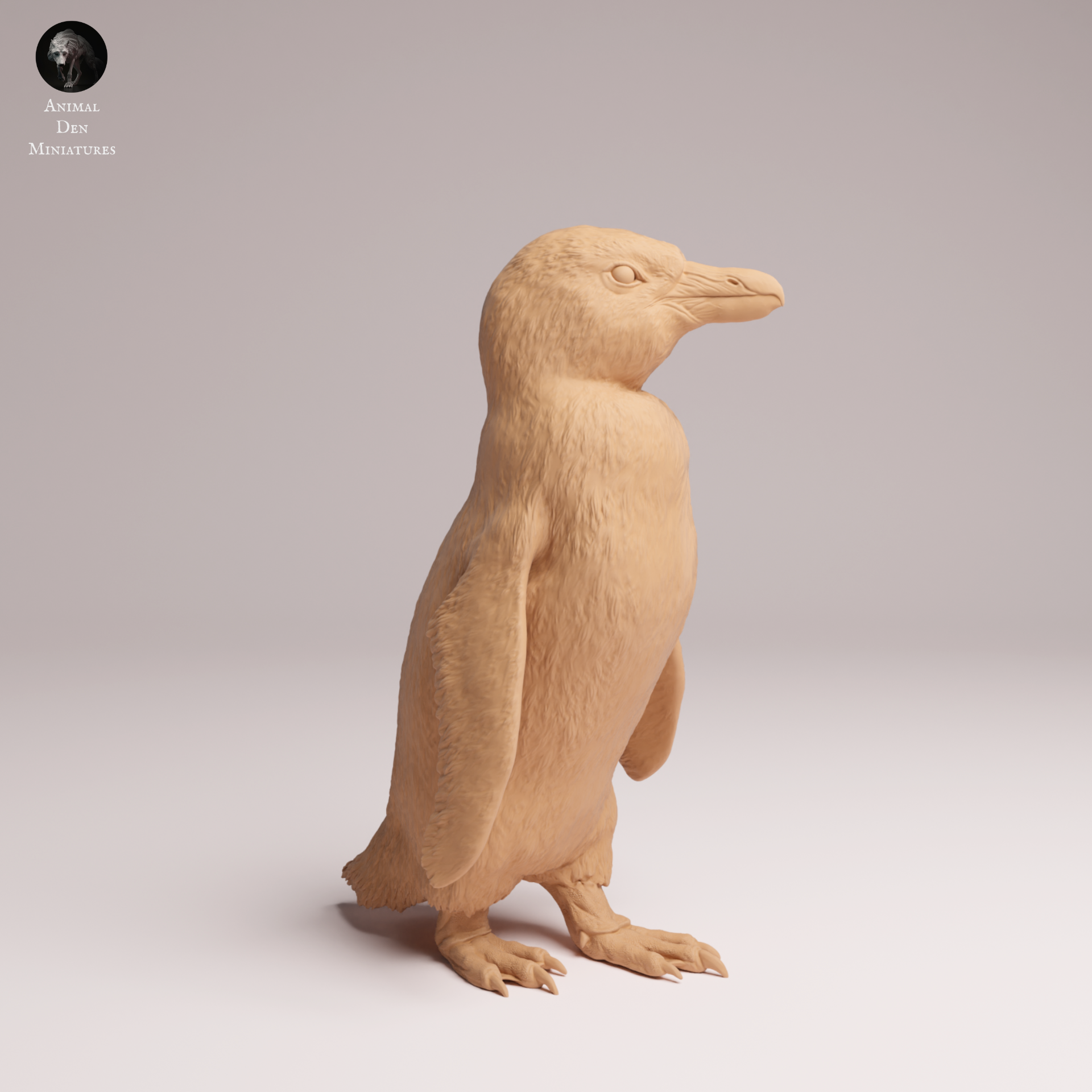 African Penguin 1:16