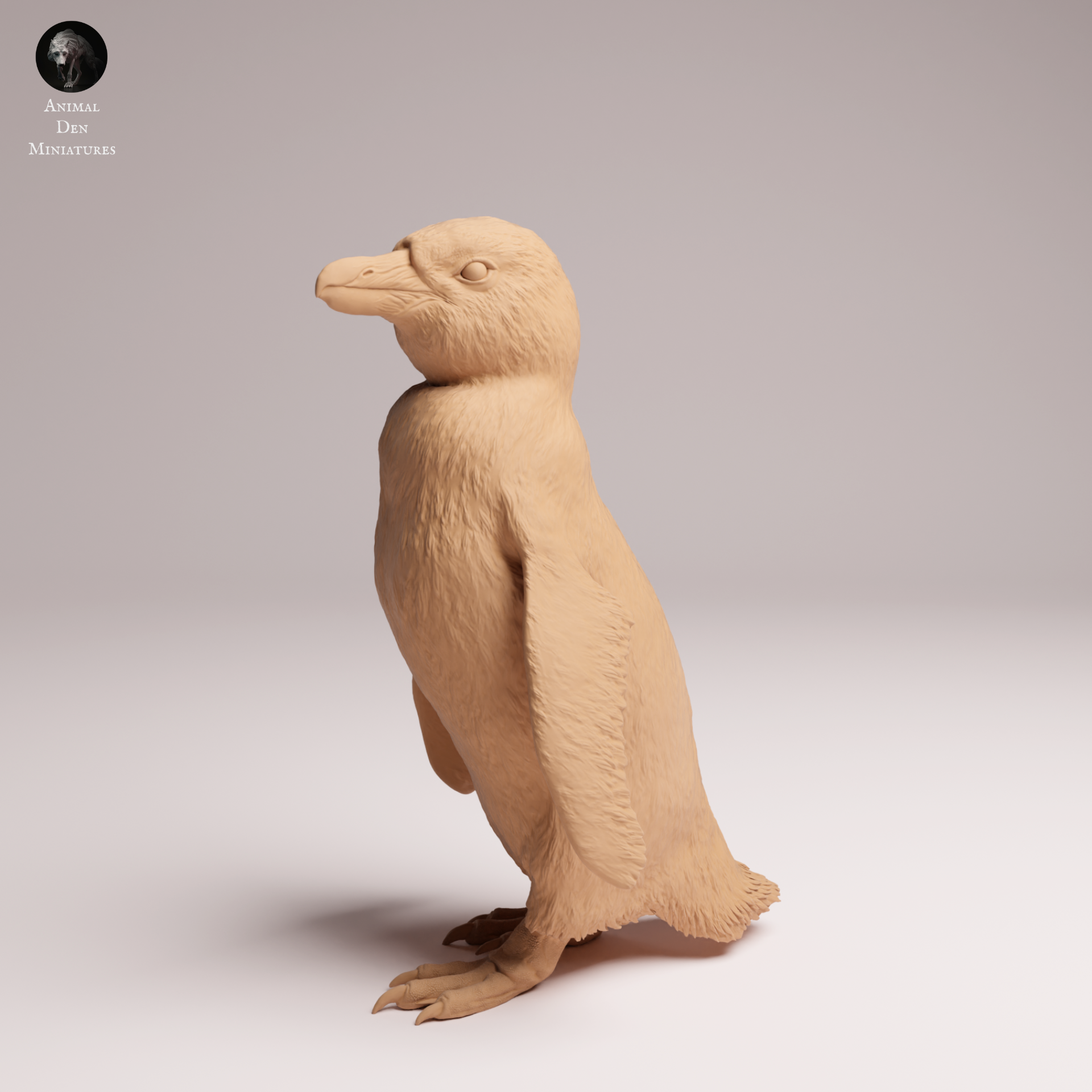 African Penguin 1:16