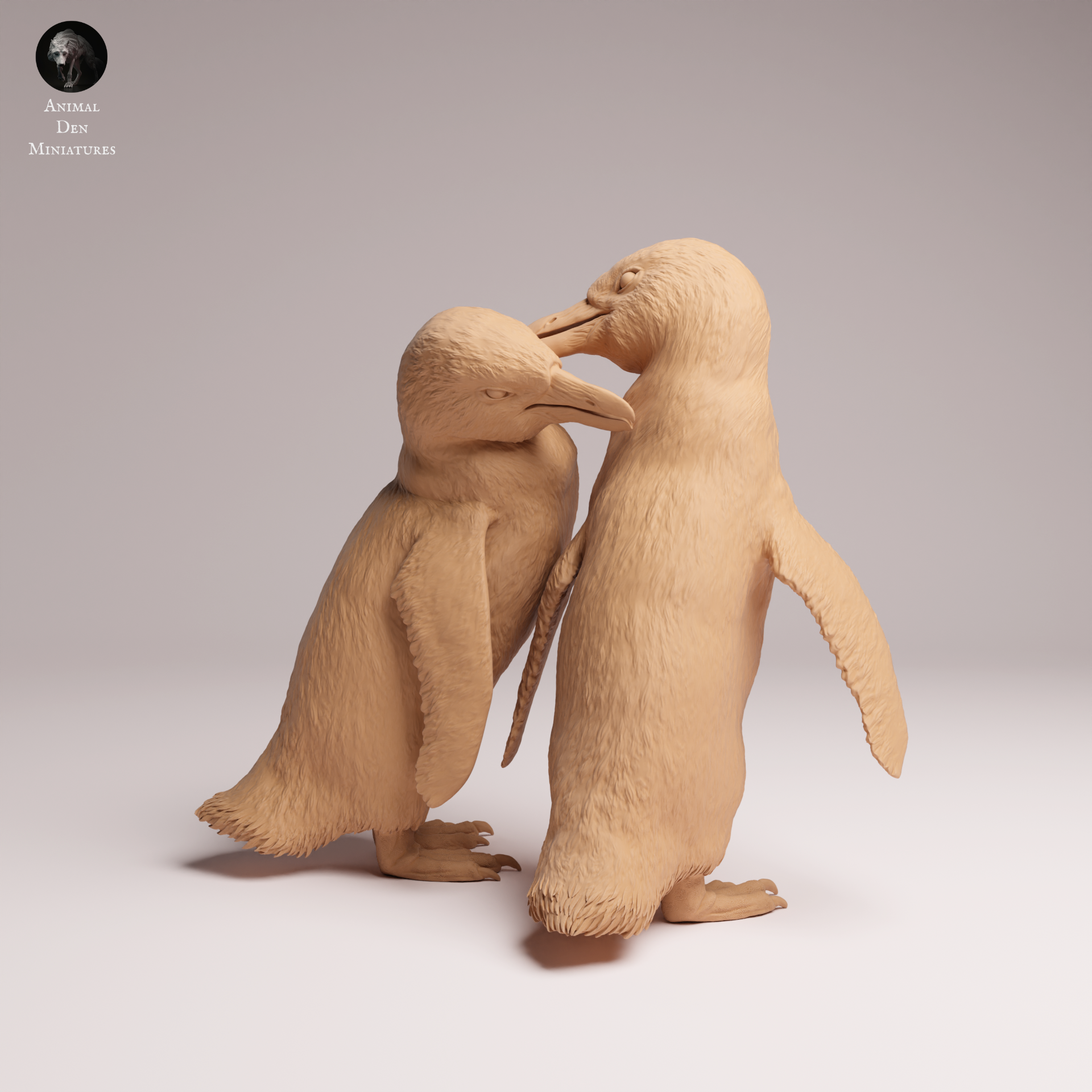 African Penguin 1:16