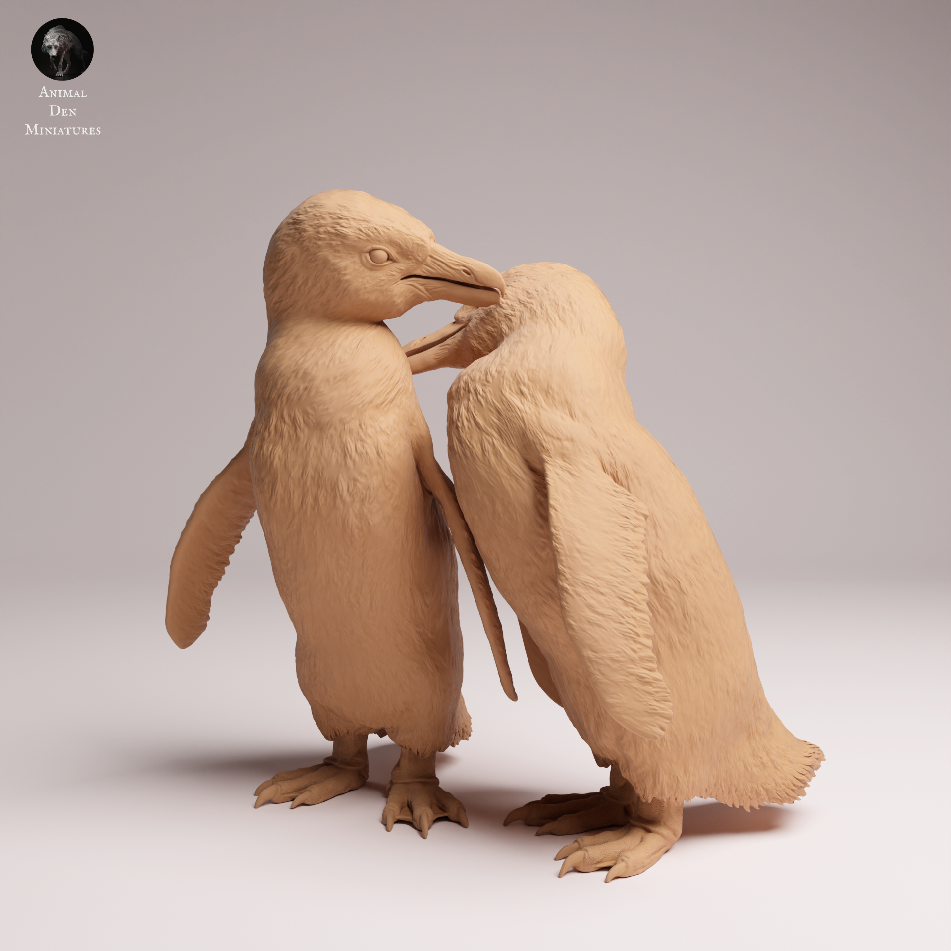 African Penguin 1:16