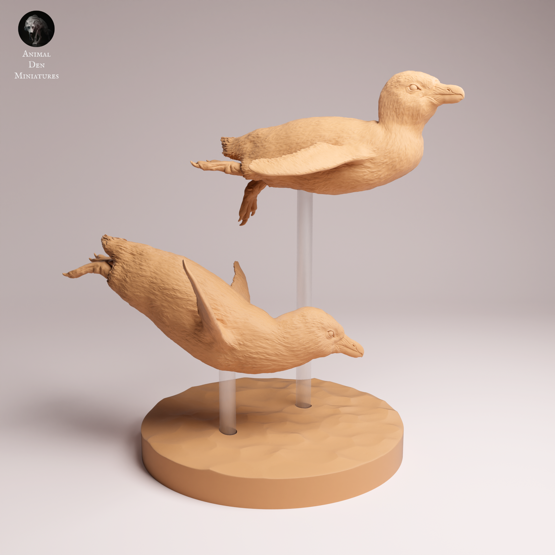 African Penguin Swim 1:16