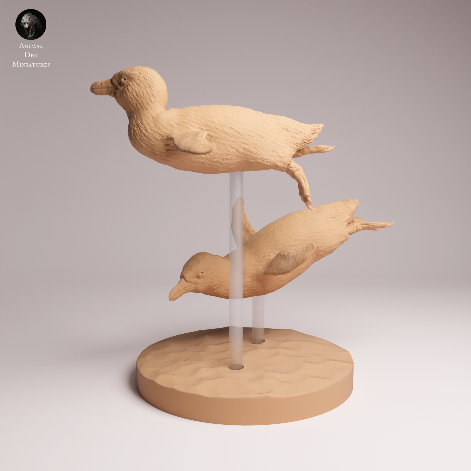 African Penguin Swim 1:16