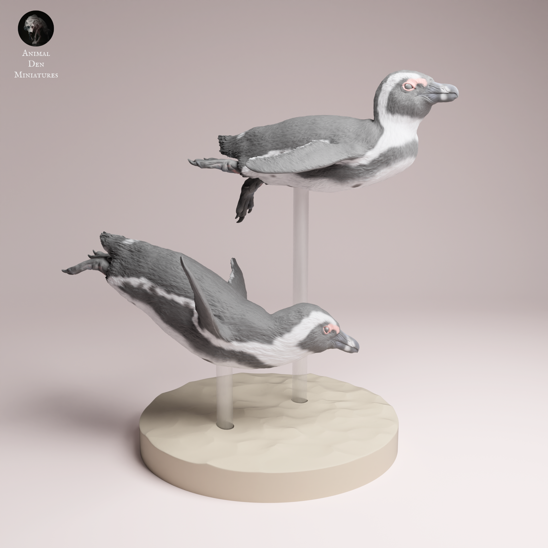 African Penguin Swim 1:16