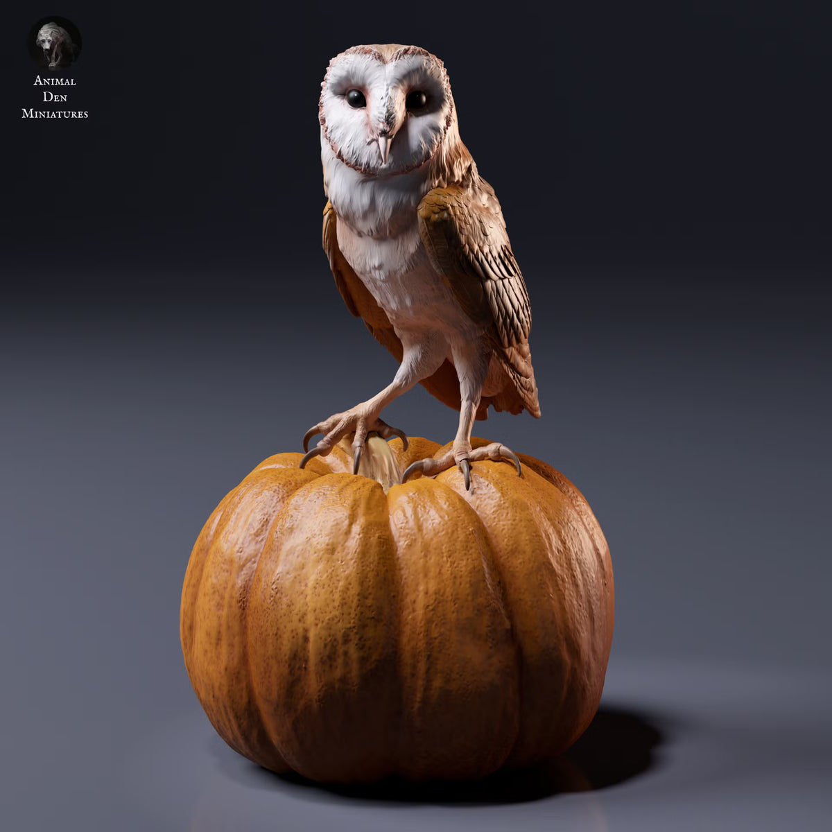 American Barn Owl 1:8