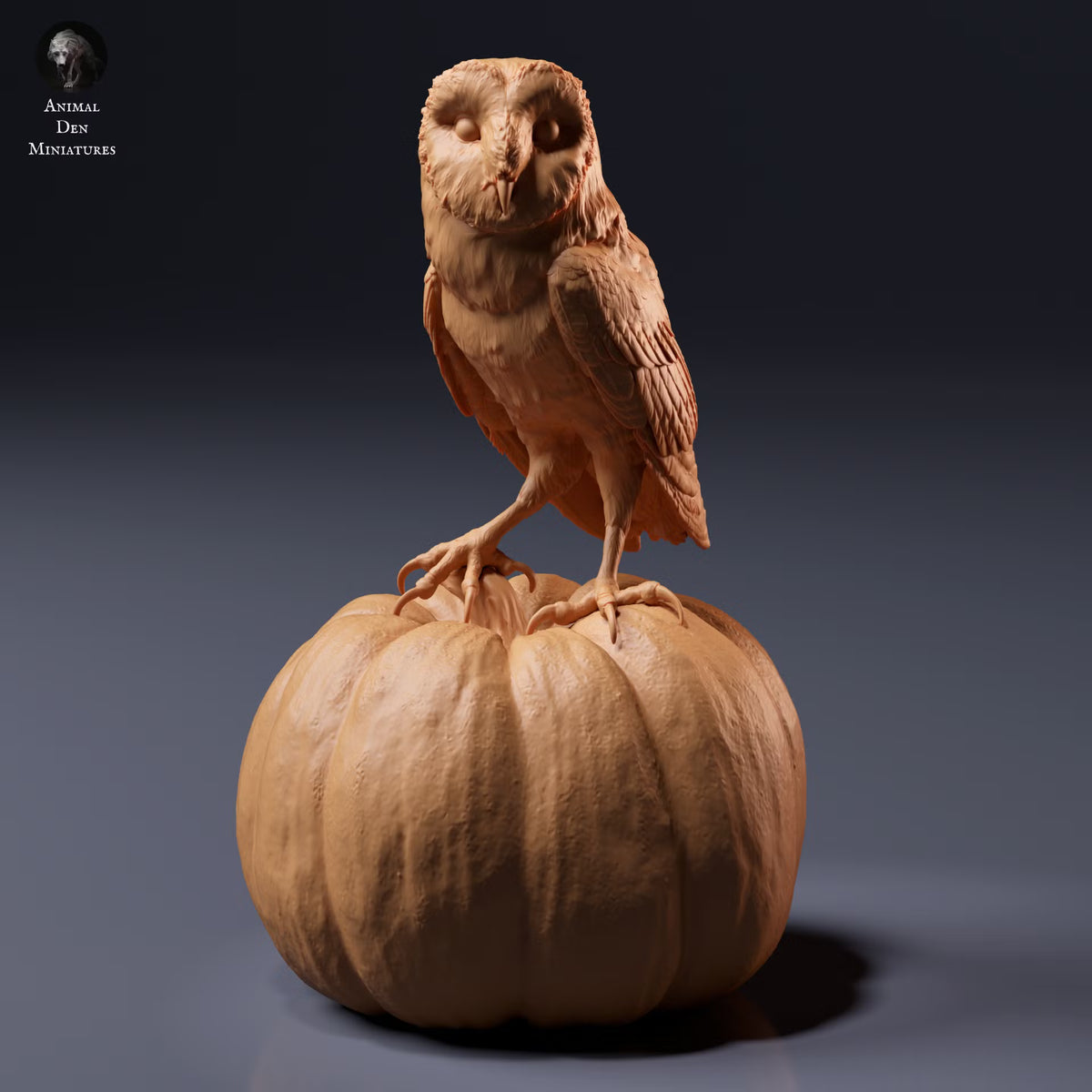 American Barn Owl 1:8