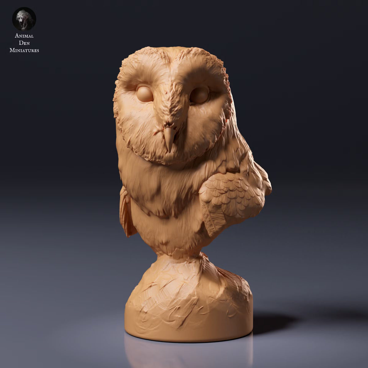 American Barn Owl - Bust 1:4