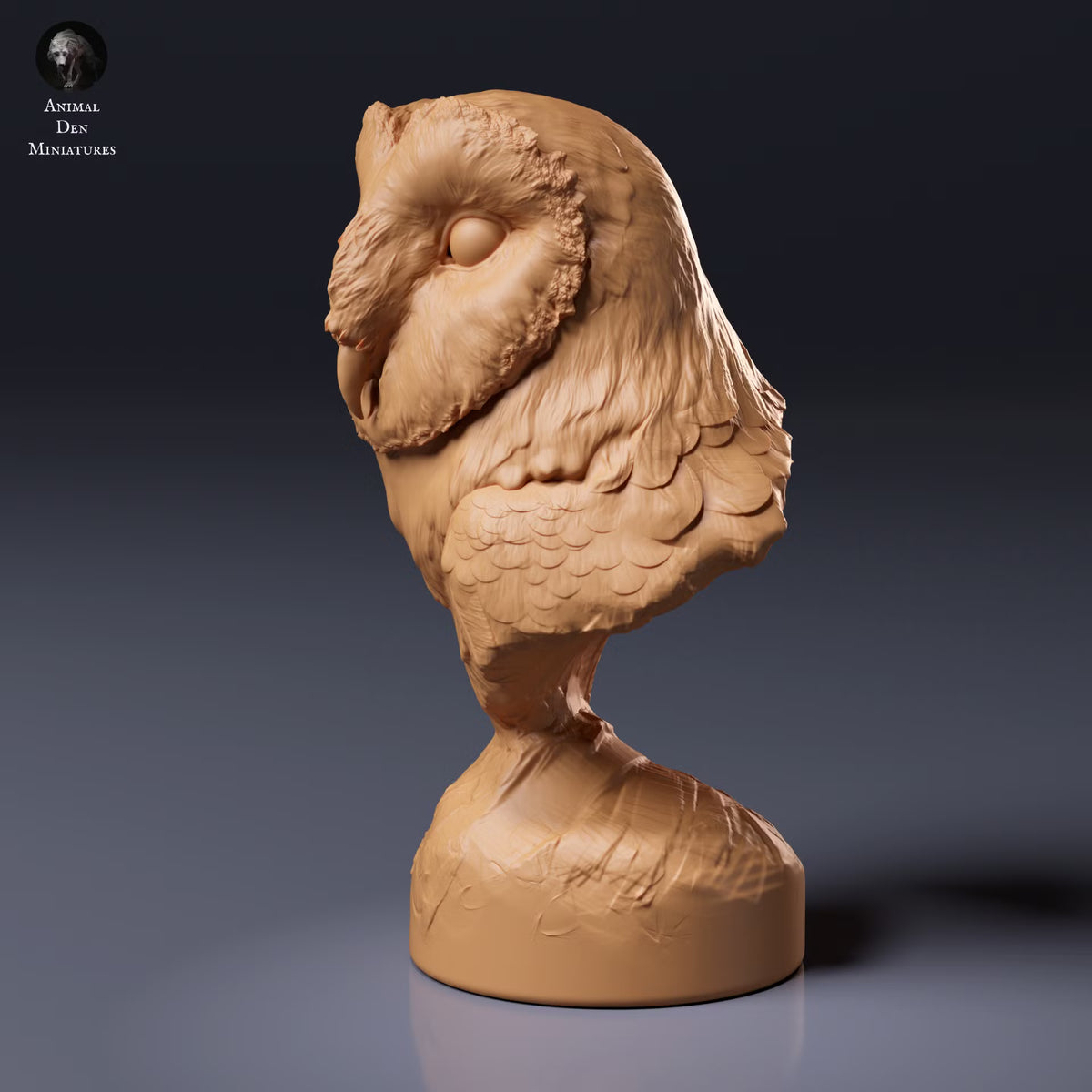 American Barn Owl - Bust 1:4