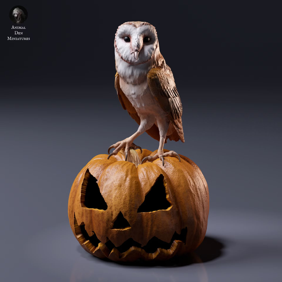 American Barn Owl 1:8