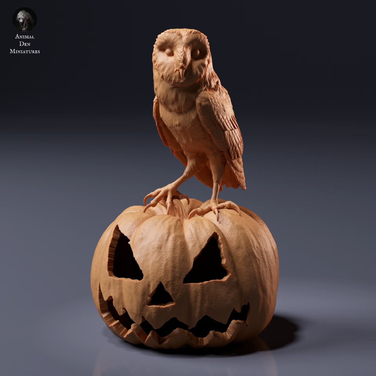 American Barn Owl 1:8