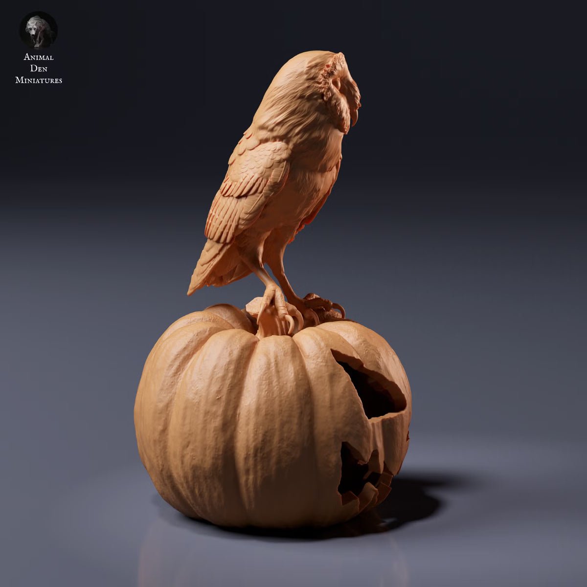 American Barn Owl 1:8
