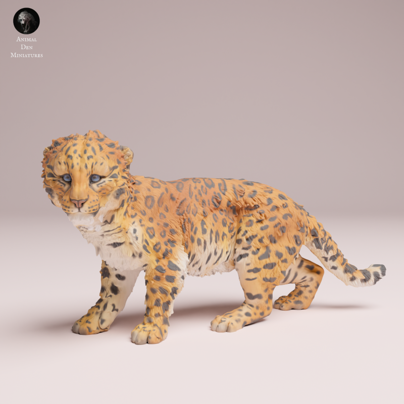 Amur Leopard Cub