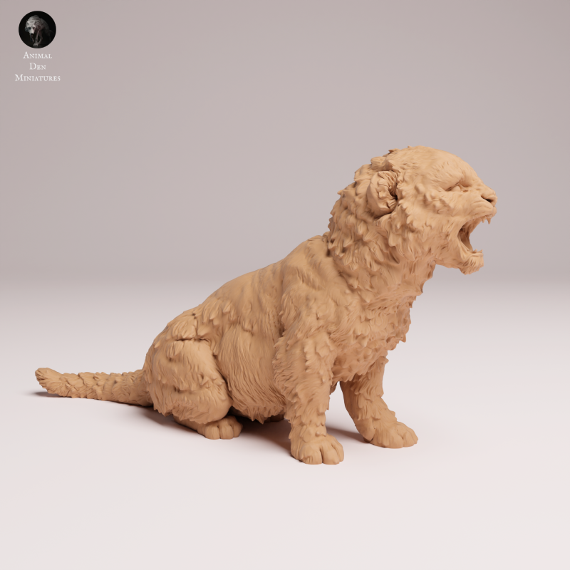 Amur Leopard Cub Roar