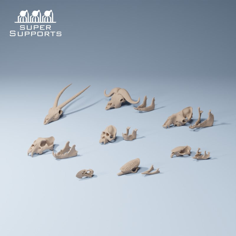 Animal Skulls - Group 2