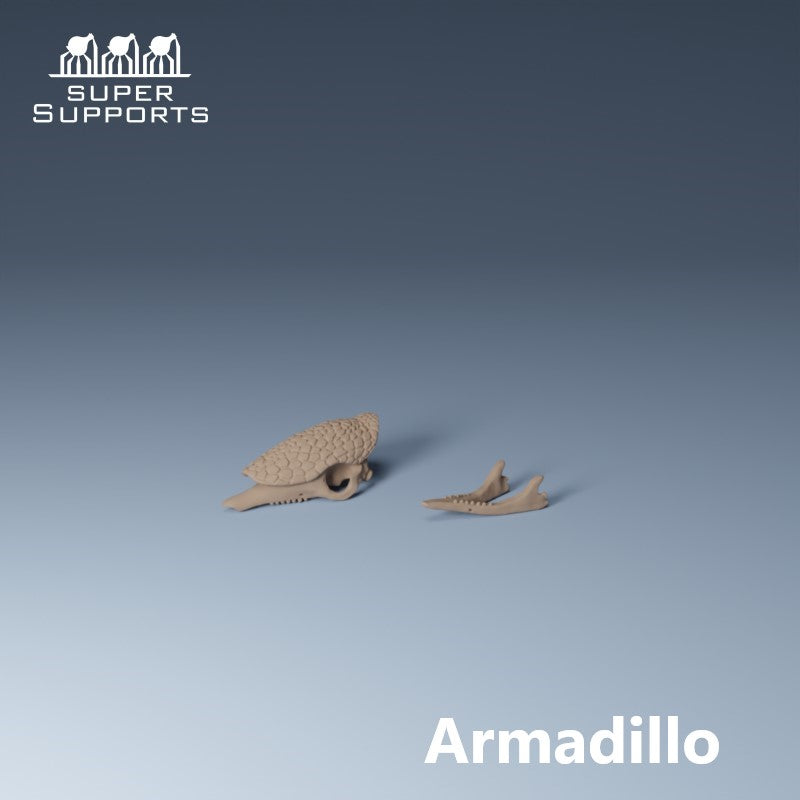 Animal Skulls - Group 2