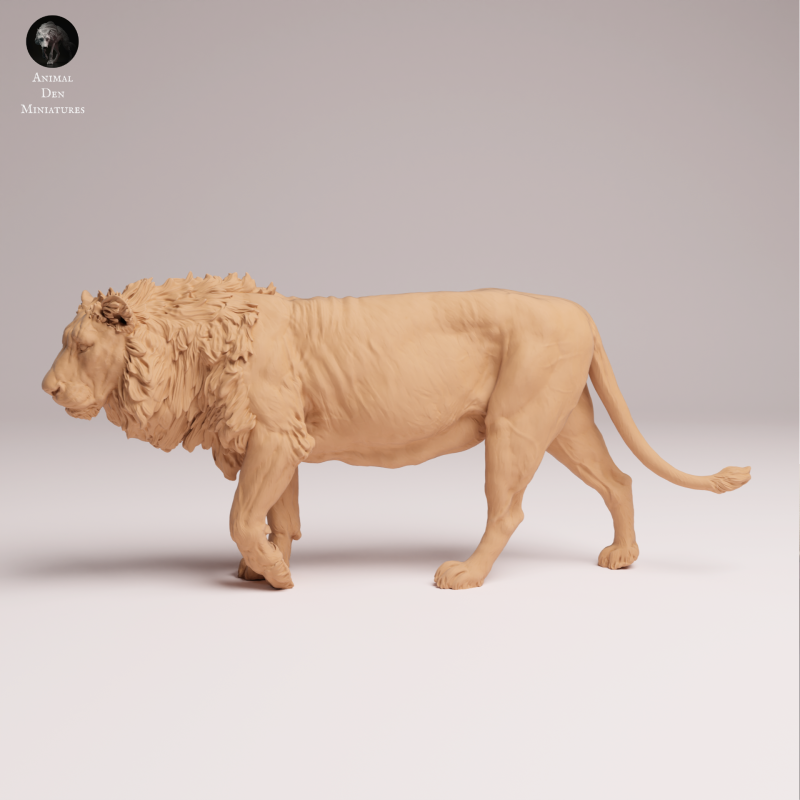 Asiatic Lion 1:24