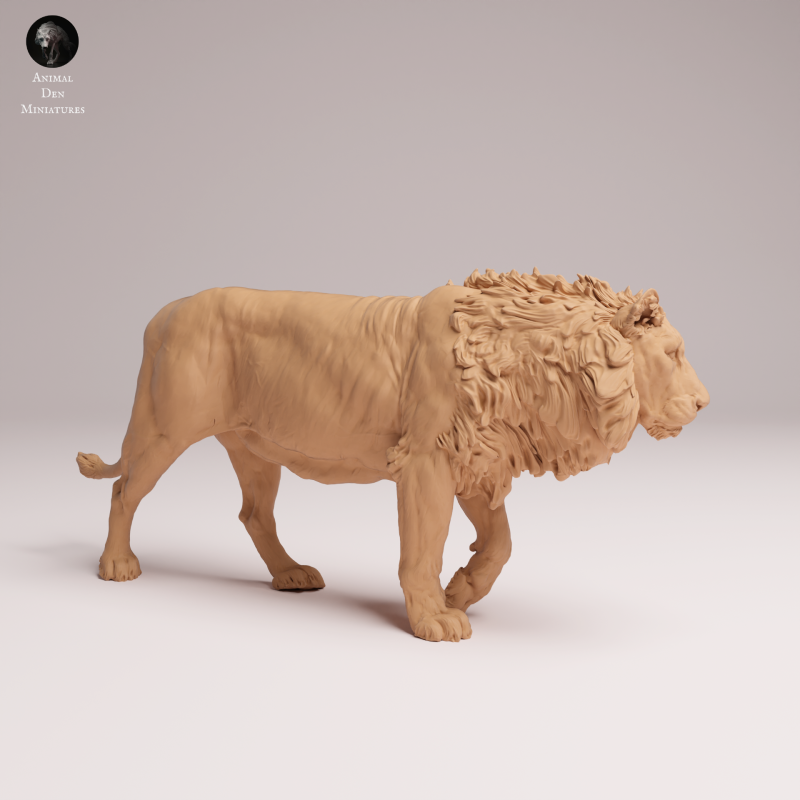 Asiatic Lion 1:24
