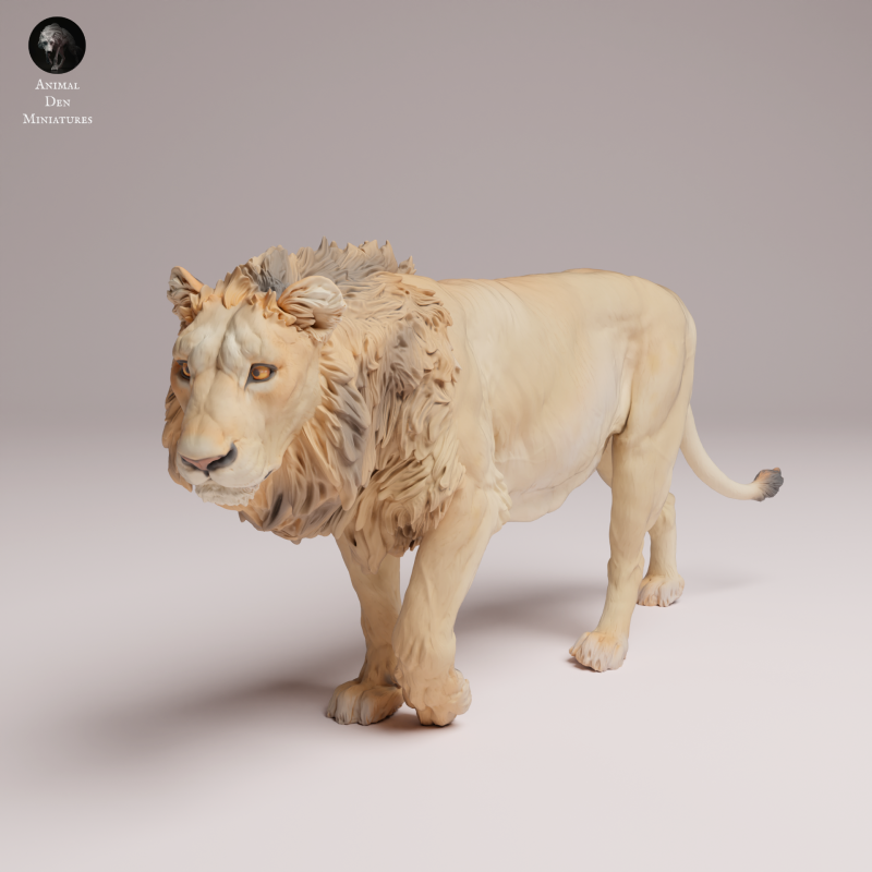 Asiatic Lion 1:24