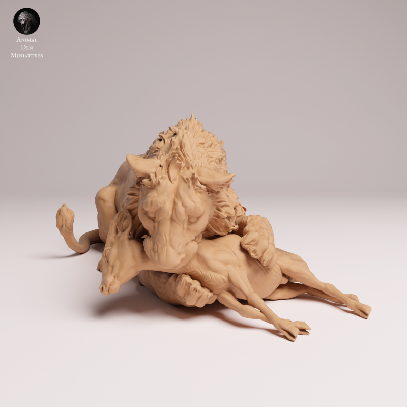 Asiatic Lion - Eating 1:24