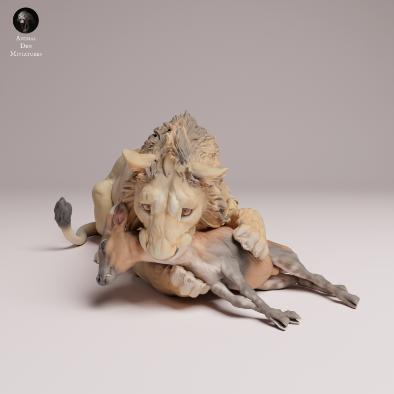 Asiatic Lion - Eating 1:24