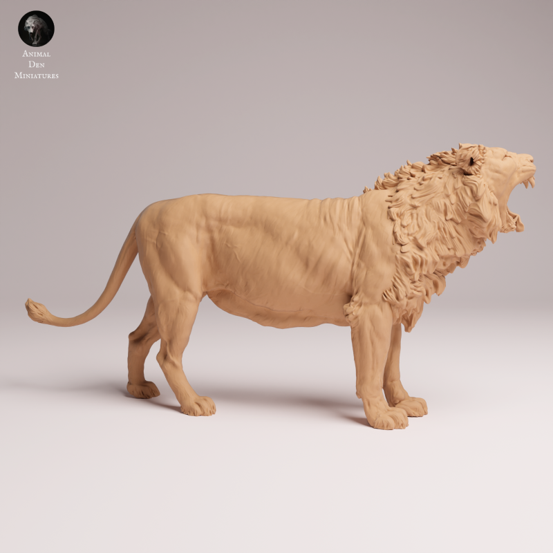 Asiatic Lion - Yawning 1:24