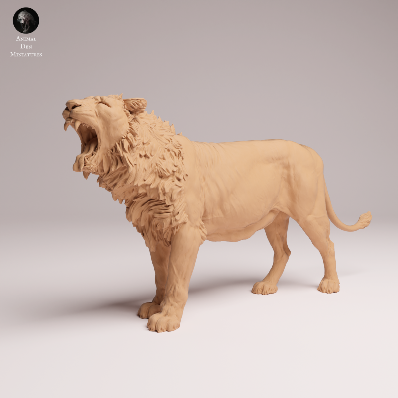 Asiatic Lion - Yawning 1:24