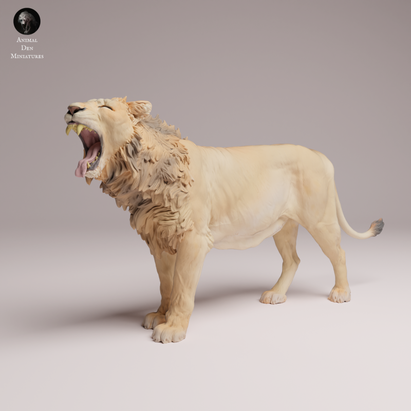 Asiatic Lion - Yawning 1:24