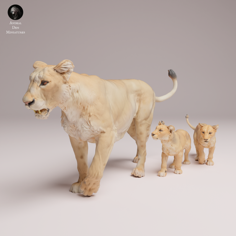 Asiatic Lion - Lioness and Cubs 1:24