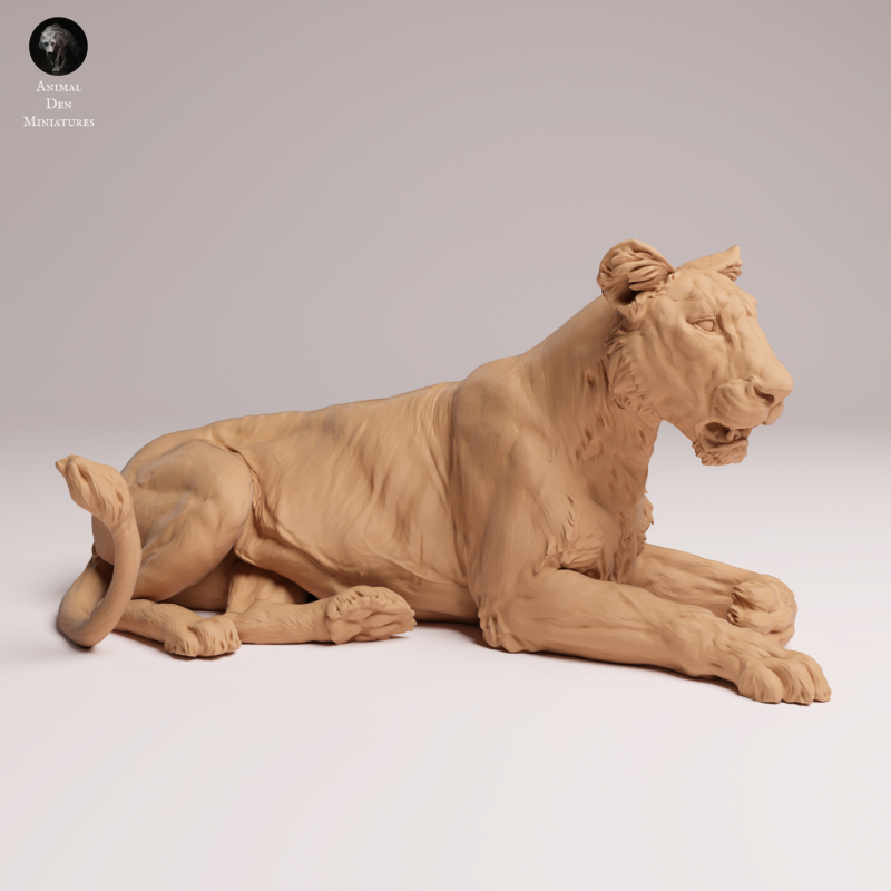 Asiatic Lion - Lioness Lying 1:24