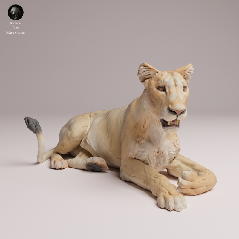 Asiatic Lion - Lioness Lying 1:24