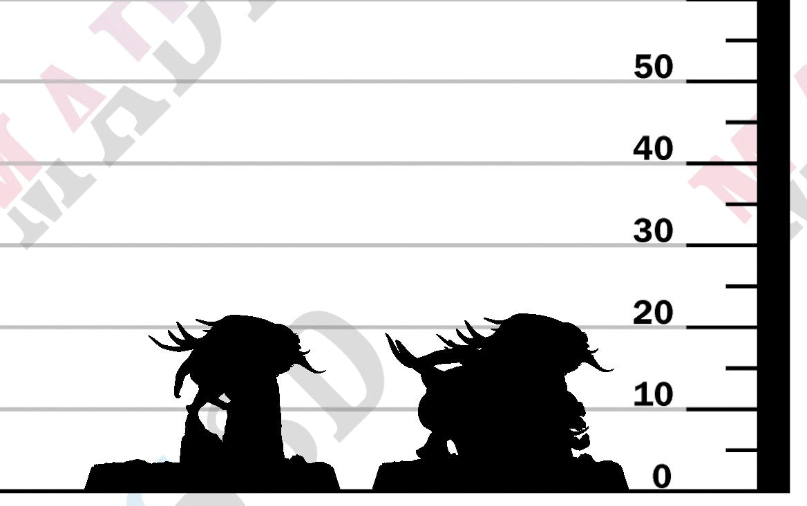 Devilish Flea - Assassin