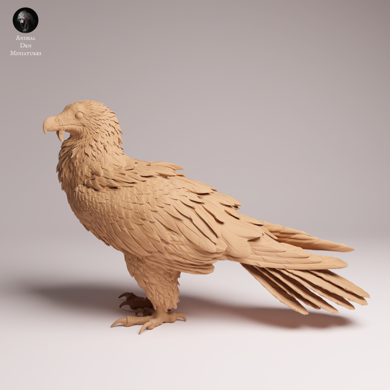 Bearded Vulture 1:12