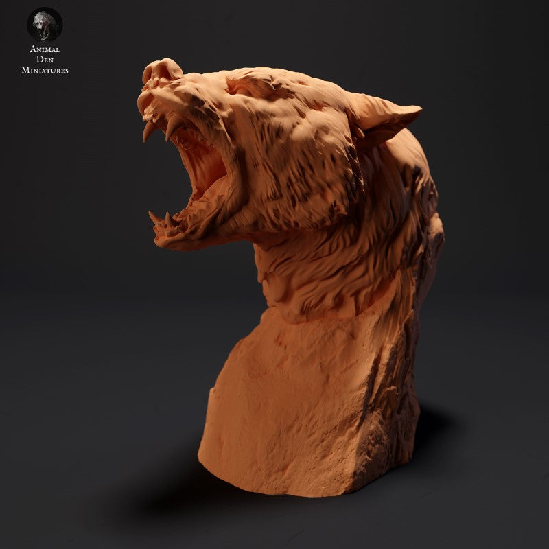 Black Bear - Bust