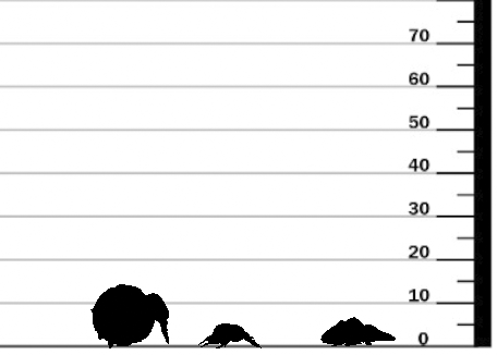 Miniature Crystal Lizard & Scarab by Bite the Bullet