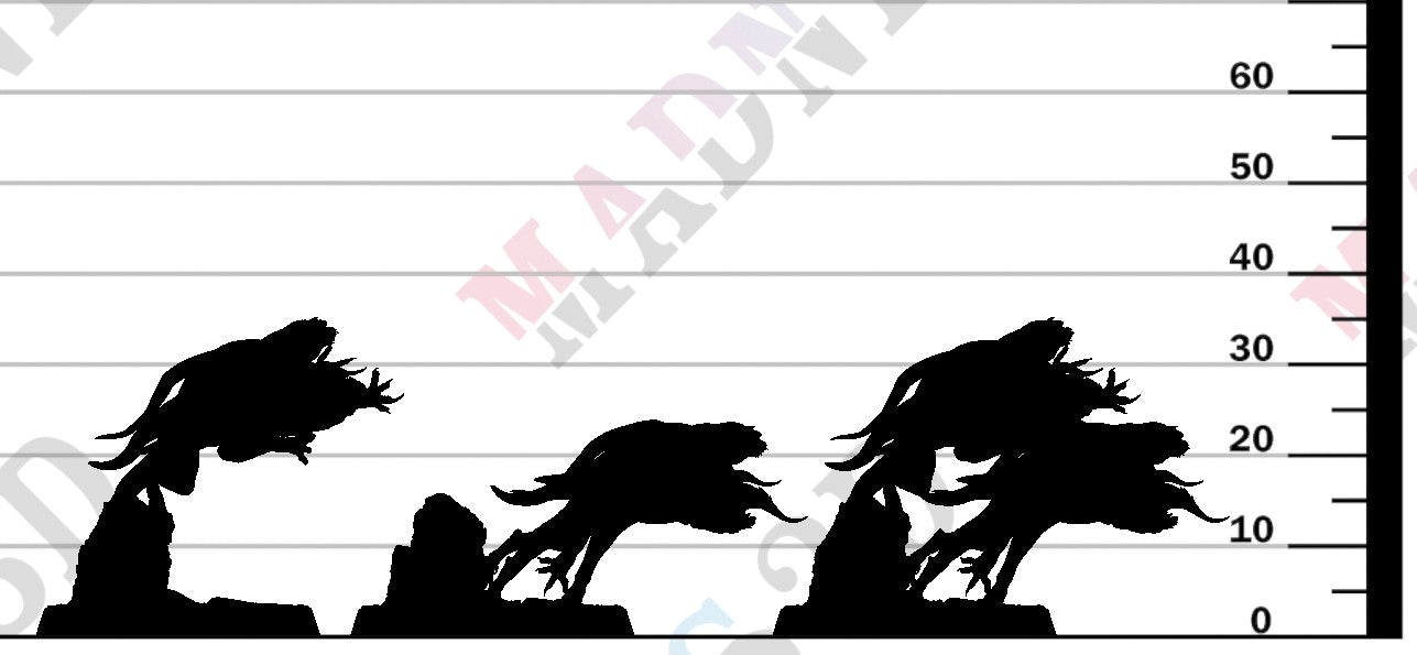 Devilish Flea - Bound