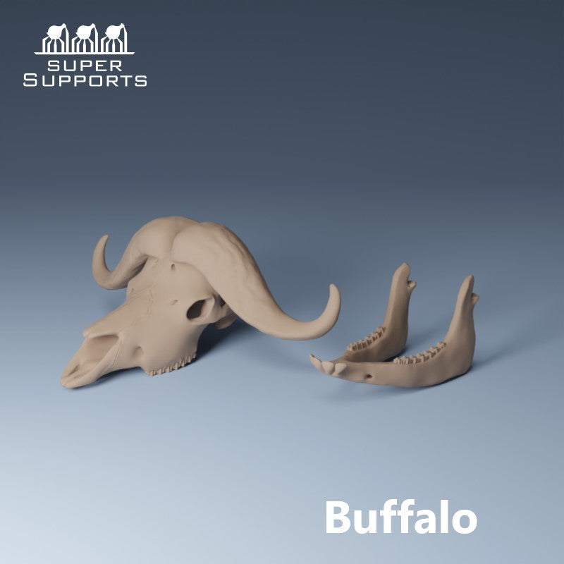 Animal Skulls - Group 2