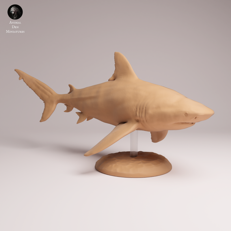 Bull Shark 1:32